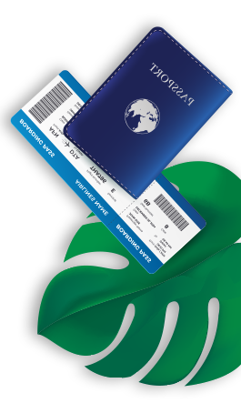 Passport & Ticket